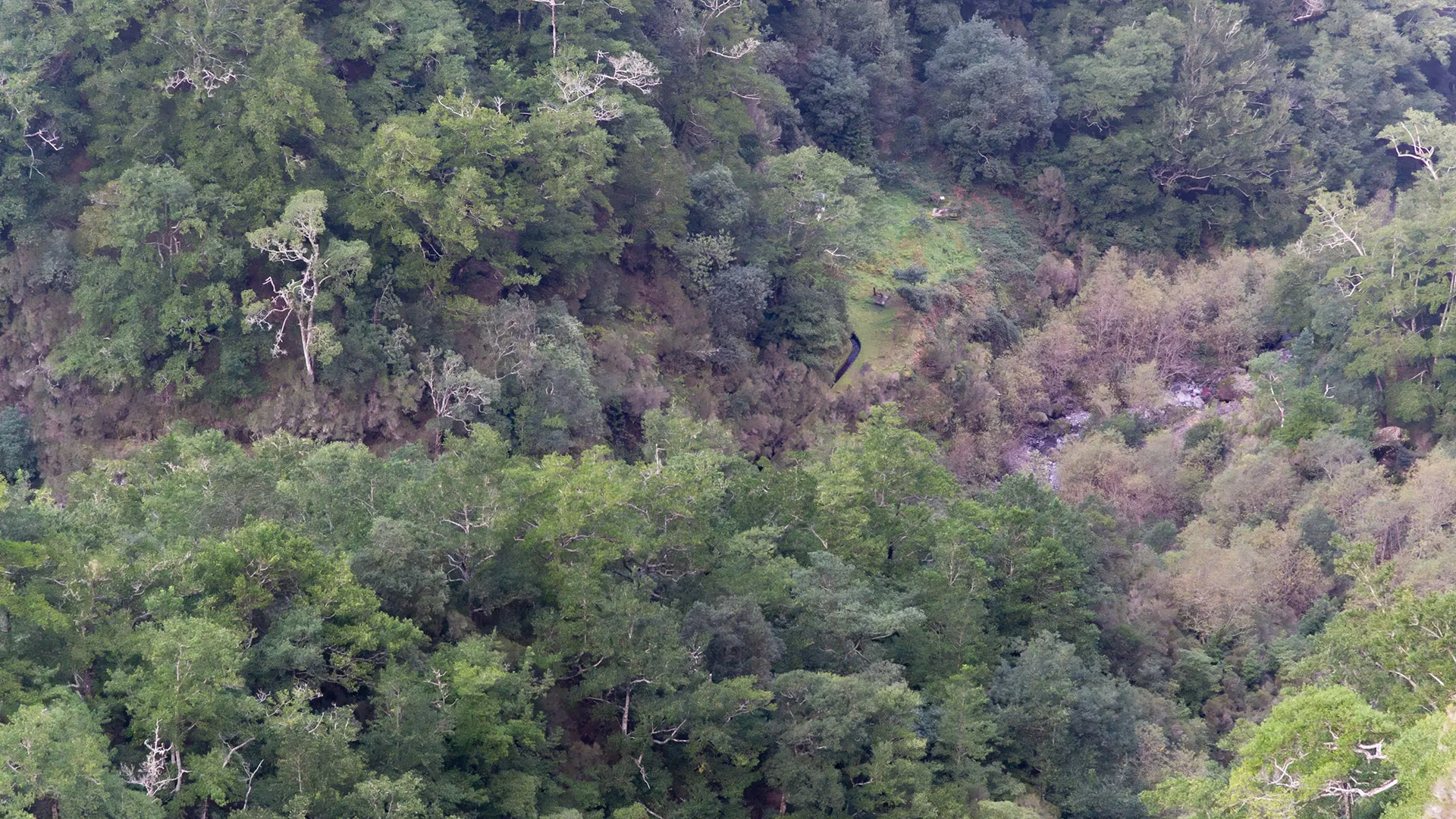 Levada dos Tornos näkyy alhaalla laaksossa Levada do Caldeirão Verdeltä.