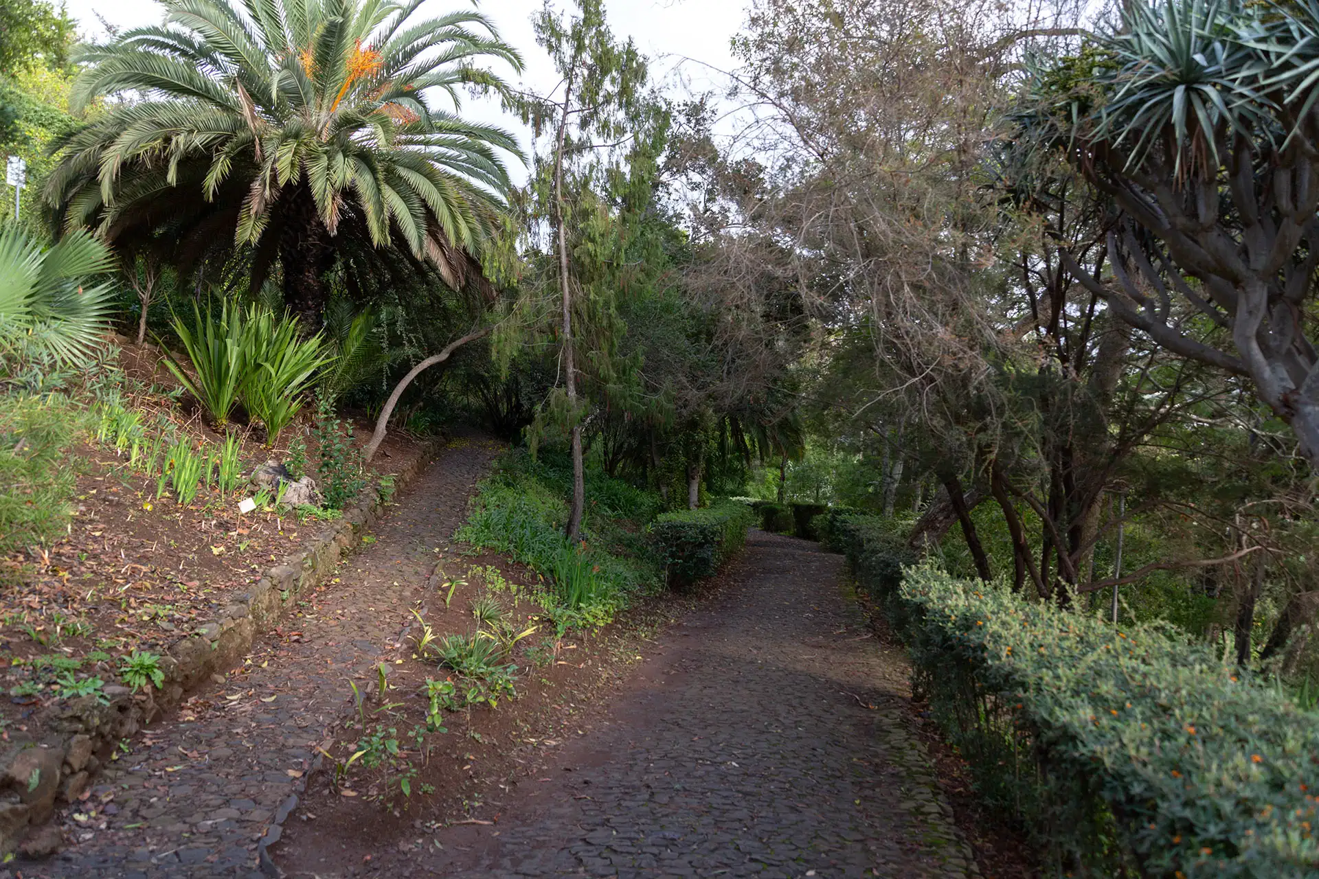 Kävelyteitä kasvitieteellisessä puutarhassa.