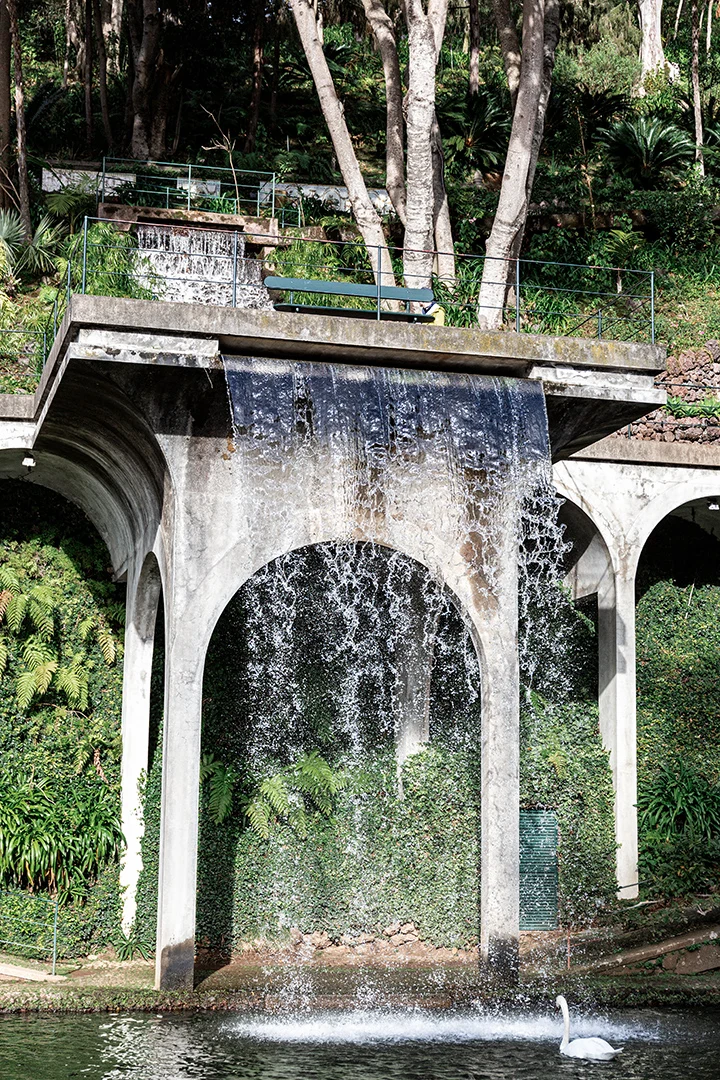 Kaunis vesiputous heittää vetensä lampeen Monten puutarhassa, jossa uiskentelevat joutsenet.