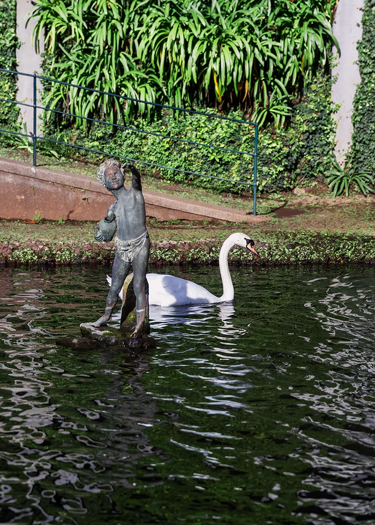 Jännittävä patsas lammen kivellä ja joutsen uimassa sen takana.