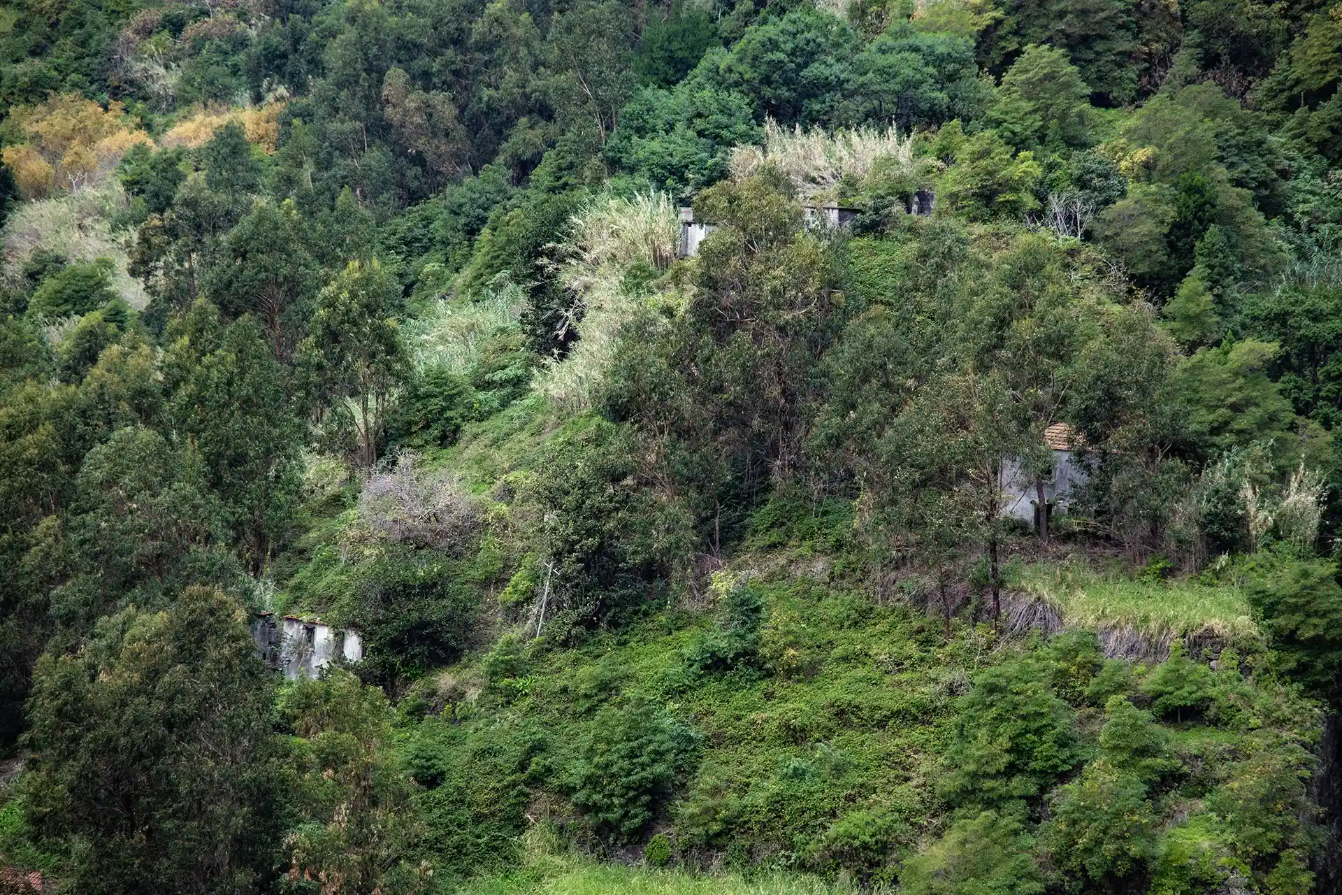 Fajã do Poion hylätty kylä on eittämättä yksi Levada do Curralin kiehtovimpia nähtävyksiä.