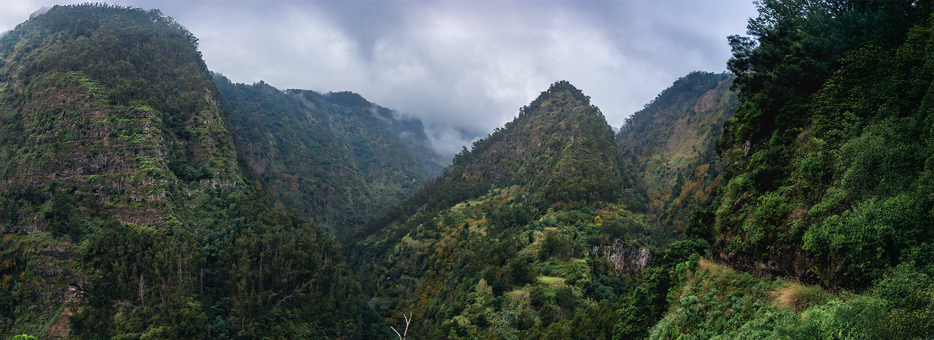 Levada do Curralilla vuonna 2023.