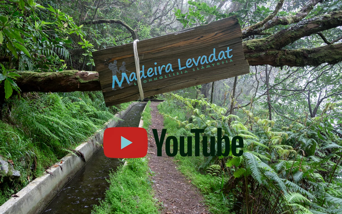 levadat-youtube Madeira Levadat Youtube
